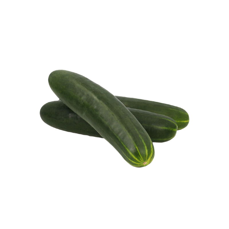 Pepino (10lb / 4.6 kg)